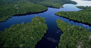 الأمازون تحصل على تمويل جديد من ألمانيا للحفاظ على الغابات خلال عهد دا سيلفا
