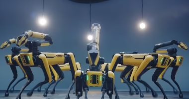 تطوير 7 كلاب روبوتية ترقص وتحاكى حركات الديسكو.. فيديو وصور