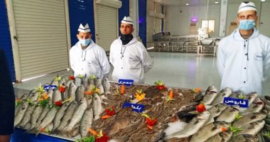 مشروع المزرعة السمكية بغليون شاهد على تغييرات كفر الشيخ فى 7 سنوات.. صور