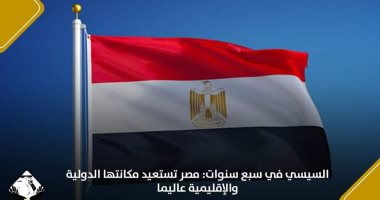 لجان التنسيقية النوعية ترصد أبرز إنجازات مصر فى ملف السياسة الخارجية