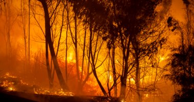 حرائق الغابات تدمر عشرات المنازل وتشرد المئات فى مقاطعة تشيليابينسك الروسية