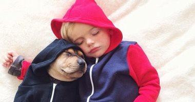 الحيوانات الأليفة قد تساعد طفلك على النوم بعمق .. اعرف التفاصيل