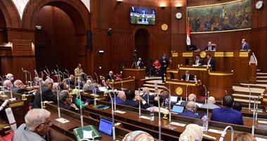 مجلس الشيوخ يوافق على تقسيم استخدامات موازنة الدولة وإيراداتها