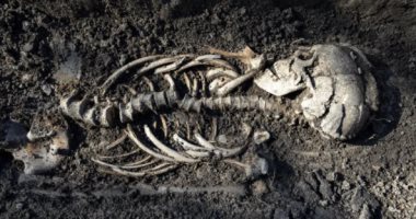 اكتشاف مقابر للفايكنج بها هياكل عظمية وأثار عمرها أكثر من 1000 عام بالسويد