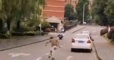 طائر أسود يهاجم الرجال فقط فى إحدى الجامعات الصينية.. فيديو وصور