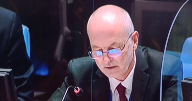 ممثل استونيا بمجلس الأمن: على الأطراف الثلاثة التوصل لحل سلمى حول أزمة سد النهضة
