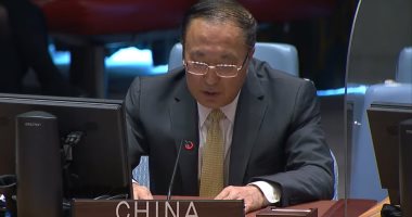 مندوب الصين بمجلس الأمن: يجب حل أزمة سد النهضة بالمفاوضات والمشاورات
