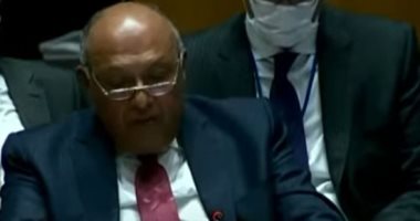 شكري أمام مجلس الأمن: إثيوبيا لم تراع الأعراف.. وسد النهضة يضيق شريان الحياة