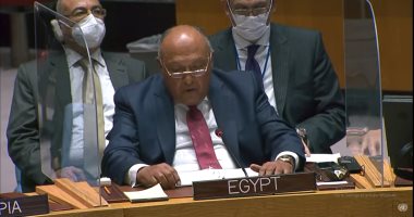 شكرى أمام مجلس الأمن: مصر تمارس سياسة ضبط النفس تجاه سلوك إثيوبيا