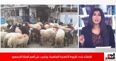 بخطوات بسيطة.. إعرف إزاى تشترى خروف العيد بالتقسيط على 6 شهور.. فيديو