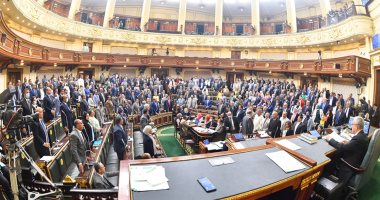 صور.. مجلس النواب يوافق على اتفاقية قرض بين مصر والبنوك الفرنسية