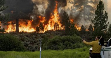 حرائق الغابات عرض مستمر.. النيران تتوغل فى كاليفورنيا ورجال الإطفاء الجندى المجهول