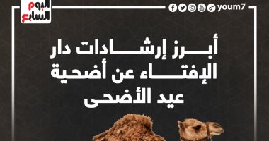 أبرز إرشادات دار الإفتاء عن أضحية عيد الأضحى.. إنفوجراف
