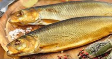 ما هى الفئات الممنوعة من تناول الأسماك المملحة؟ الصحة توضح