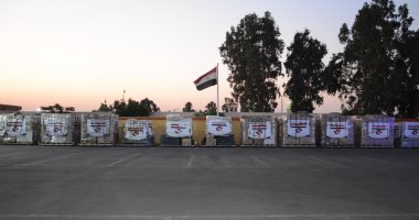 استمرار الجسر الجوى بين مصر وتونس.. طائرة مساعدات طبية جديدة للأشقاء فى تونس
