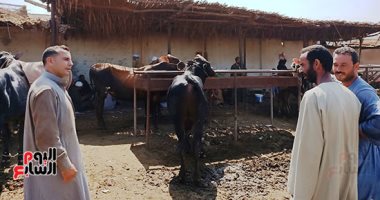 ‫ صندوق التأمين على الماشية ينظم ندوة إرشادية فى البحيرة