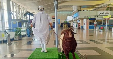 مجسمات "خروف وجزار" تضفى جوا من البهجة في مطار القاهرة .. صور