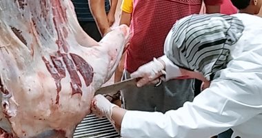 محافظ القاهرة يلغى إجازات عاملي المجازر ويوجه بتكثيف الحملات على محال بيع اللحوم