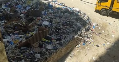 سكان شارع 25 بالمنتزه الإسكندرية يناشدون إزالة القمامة.. والشركة ترد