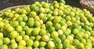 شعبة الخضروات والفاكهة بالغرفة: الليمون يتراوح بين 4-10 جنيهات