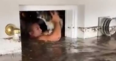 إنسانيته قادته.. شاب ينقذ قطة عالقة فى مبنى غمرته الفيضانات "فيديو وصور"
