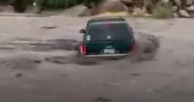 لحظة إنقاذ رجل وابنه علقا داخل سيارة فى مياه الفيضانات بولاية أريزونا.. فيديو