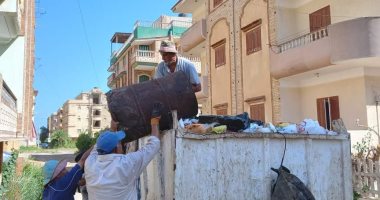 حملات مكثفة لرفع تراكمات القمامة ومكافحة الحشرات الطائرة بمدن كفر الشيخ