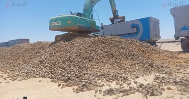 حصاد 20 ألف فدان بنجر السكر غرب المنيا ضمن مشروع 1.5 مليون فدان.. فيديو وصور