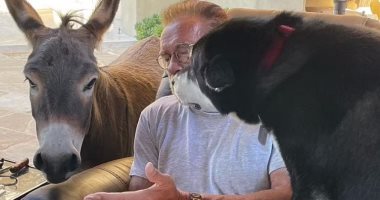 أرنولد شوارزنيجر يحتفل بعيد ميلاده الـ 74 برفقة كلبه وحماره