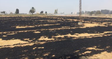 حريق يلتهم قش القمح بأرض زراعية في الإسماعيلية.. فيديو وصور