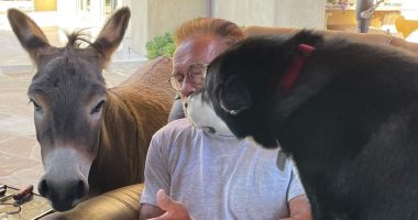 احتفال ساخر لـ أرنولد شوارزنيجر فى عيد ميلاده الـ74 بصورة مع كلبه وحمار