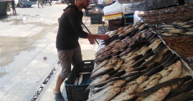 مملكة الفوسفور بدمياط.. اعرف أنواع وأسعار السمك من أكبر سوق في رأس البر.. لايف