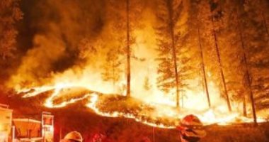 لبنان: حرائق الغابات كارثة حقيقية تجتاح البلاد