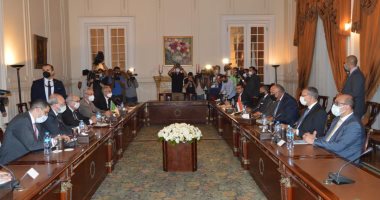 وزير الخارجية يؤكد ثقة مصر فى حكمة القيادة التونسية على إدارة المشهد