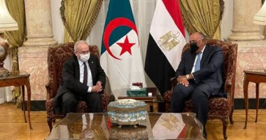 وزير الخارجية يدعو لضرورة الإسراع في تشكيل الحكومة اللبنانية الجديدة