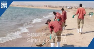 حملة لتنظيف الشاطئ العام فى أبورديس بجنوب سيناء من ملوثات الزيوت
