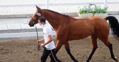 نايل نصار يمارس تمارين الإحماء مع حصانه فى أولمبياد طوكيو 2020
