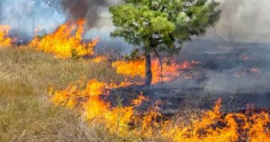 حريق فى إيطاليا يتسبب فى 5 إصابات ويضع محمية طبيعية تحت السيطرة