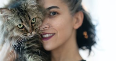 Study: Direct contact with cats may increase the risk of psychosis