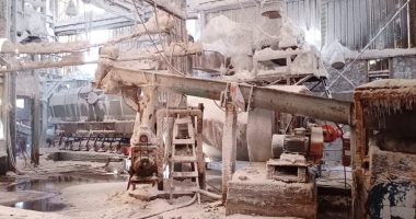 رئيس ملاحات بورفؤاد: إنتاج 300 ألف طن سنويا من الملح الخام وجار بناء مصنع جديد