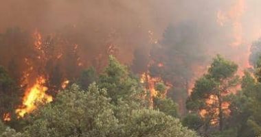  اندلاع حريق جديد فى منطقة جبال القدس بالقرب من المستوطنات الإسرائيلية