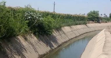 الانتهاء من تبطين 272 كم من ترع بنى سويف ضمن مشروع تأهيل البنية التحتية المائية