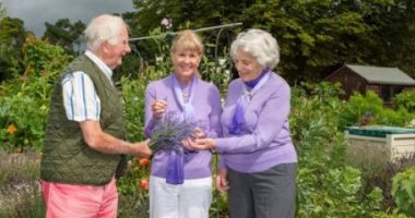 طبيب بريطاني يعالج الوحدة بزراعة زهور الخزامى واهدائها لجيرانه.. اعرف القصة