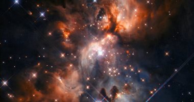 تلسكوب هابل يلتقط مشتلا ملىء بالغبار يولد نجوم صغيرة