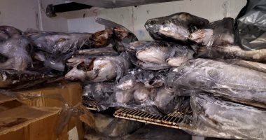 حملات مكثفة للرقابة على محلات الجزارة وثلاجات الأسماك بالشرقية