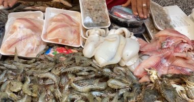 جولة داخل سوق السمك .. أسعار الأسماك تبدأ من 23 جنيها والجمبرى بـ100 جنيه