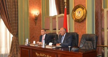 وزير الخارجية يطالب سفراء مصر بالترويج لما تشهده البلاد من إنجازات
