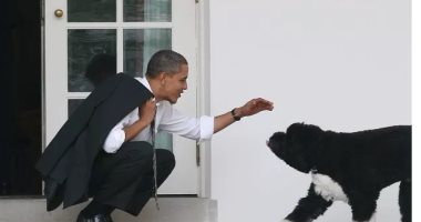 كلاب لها قصة فى حياة المشاهير.. كلب أوباما الأشهر