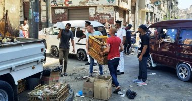 حملات مكبرة لإزالة الإشغالات والتعديات بالأسواق والشوارع فى الإسكندرية