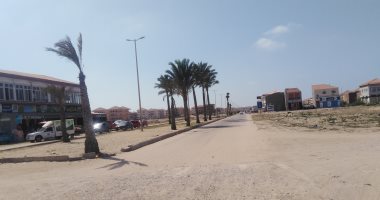 شارع النخيل برأس البر منطقة استثمار عقارى تميزها زراعة النخل.. صور